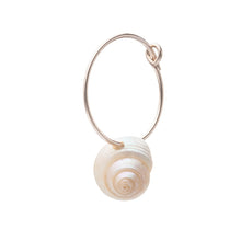 Load image into Gallery viewer, Shell Mini Hoop Earring
